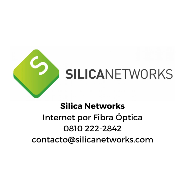 Silica Networks